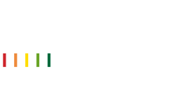 Logo Maior Evo stick FR