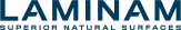 Logo-l