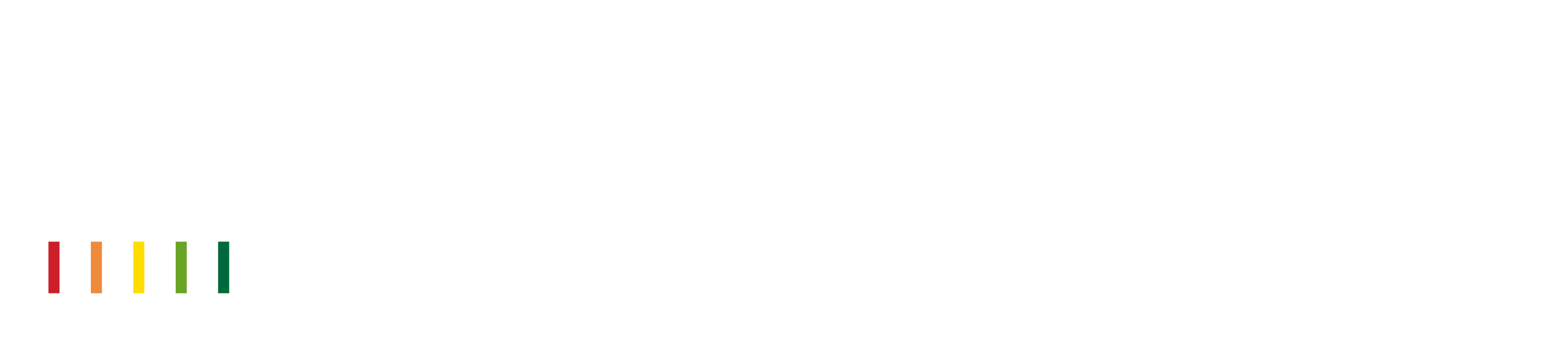 logo maior evo stick one bianco
