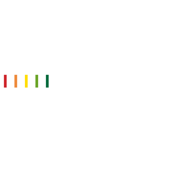Logo Maior Stick One